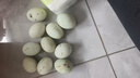 鴨蛋新鮮生鴨蛋60-70g土鴨蛋農(nóng)家散養(yǎng)青皮白皮生鮮食品超市批發(fā) 10枚 曬單實拍圖