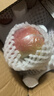 京鮮生 煙臺紅富士蘋(píng)果 凈重10斤 單果220g以上 水果禮盒 曬單實(shí)拍圖