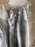 樂(lè )生海大號秋刀魚(yú)500g/袋 新鮮海捕 鮮活冷凍 生鮮燒烤食材海鮮魚(yú)類(lèi) 特大秋刀魚(yú)4斤（3-5條/斤） 曬單實(shí)拍圖