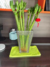 JCZS正宗文昌竹4支金榜題名四支帶根水培觀(guān)音竹富貴竹植物客廳  文昌竹2根(50-60厘米帶根) 裸根不帶土 曬單實(shí)拍圖