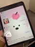 全新原封 iPad 11代 11英寸 ipad11 2025年款 平板電腦 WiFi 256G 粉色 國行原封 官方標配 曬單實(shí)拍圖