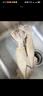 初鮮鮮凍大魷魚(yú)2-4條凈重1.2-1.3斤 鐵板魷魚(yú)火鍋燒烤食材 海鮮軟足類(lèi) 曬單實(shí)拍圖