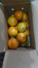 酸甜云南新鮮青橘孕婦青皮當季無(wú)籽橘子桔子薄皮水果多汁一整箱 帶箱3斤55-60mm 曬單實(shí)拍圖