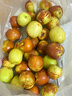 冰糖冬棗新鮮水果生鮮脆甜小糖丸沾化冬棗果園直發(fā)【多產(chǎn)地發(fā)貨】 整箱0.8-1斤 單果12g+中果 曬單實(shí)拍圖