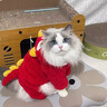 曇蓓漫貓咪衣服新年貓咪過(guò)年衣服寵物狗狗新年衣服新年紅色喜慶加厚保暖 新年紅獅子毛絨保暖衣 S碼【建議3-5斤 具體參考胸圍背長(cháng)】 曬單實(shí)拍圖