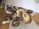 農(nóng)家干香菇500g干貨無(wú)根肉厚蘑菇菌菇冬菇香菇 500g 實(shí)惠裝 曬單實(shí)拍圖