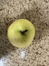 京地達碭山青皮皇冠梨 凈重4.5斤單果250g 青皮翠冠梨梨子源頭直發(fā)包郵 曬單實(shí)拍圖