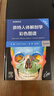 奈特人體解剖學(xué)彩色圖譜：系統解剖學(xué)，第8版 2024年1月參考 曬單實(shí)拍圖