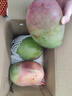 京鮮生 攀枝花凱特芒果 凈重9斤 單果500g+ 生鮮水果 源頭直發(fā) 曬單實(shí)拍圖