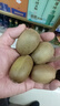 淳果一木 黃心獼猴桃 彌猴桃金果奇異果獼猴桃 新鮮水果 生鮮 水果 10個(gè) 精品大果 單果100克+ 曬單實(shí)拍圖