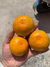 南步湖南洞口縣雪峰蜜桔 無(wú)核薄皮邵陽(yáng)特產(chǎn)雪峰山宮川蜜橘子新鮮水果 5斤 精選小果 曬單實(shí)拍圖