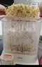 摩動(dòng)豆芽機家用全自動(dòng)噴淋智能發(fā)芽豆牙盆神器自制小型綠豆催芽苗灌盆三層四季可用豆芽機DY01 自動(dòng)豆芽機DY10 曬單實(shí)拍圖