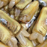 蟶子鮮活6斤野生大竹節海蟶子肉肥海鮮水產(chǎn)雙頭蟶子貝殼類(lèi)海蟶子 1000g 2斤（試吃裝） 曬單實(shí)拍圖