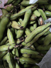 辰實(shí)【現摘】蠶豆新鮮 現摘帶殼胡豆 蠶豆米羅漢豆蘭花豆農家蔬菜 9斤（量多） 曬單實(shí)拍圖
