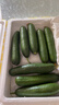 壽光水果黃瓜山東時(shí)令果蔬小青瓜蔬菜火鍋食材清脆爽口產(chǎn)地直發(fā) 水果黃瓜帶箱5斤【劃算】 曬單實(shí)拍圖