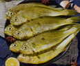 5斤小黃花魚(yú)海魚(yú)去頭小黃魚(yú)新鮮鮮活冷凍整箱香酥魚(yú) 10條/斤s5斤裝 曬單實(shí)拍圖