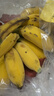 京鮮生廣西蘋(píng)果蕉  凈重5斤  新鮮水果 源頭直發(fā) 曬單實(shí)拍圖