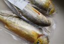 黃小漁【冰鮮】寧德黃花魚(yú)凈重3斤/3條 大黃魚(yú) 海鮮水產(chǎn)生鮮 源頭直發(fā) 曬單實(shí)拍圖