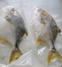 翔泰 海南金鯧魚(yú)凈重900g 2條裝  魚(yú)類(lèi)生鮮 火鍋食材 海鮮水產(chǎn)  曬單實(shí)拍圖