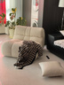 莫語(yǔ)汪汪單人沙發(fā)奶油風(fēng)現代簡(jiǎn)約臥室陽(yáng)臺客廳休閑懶人沙發(fā)椅子 汪汪單人沙發(fā)【Pro款-米白色】 曬單實(shí)拍圖