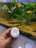 JCZS德國品牌魚(yú)缸凈水片澄清澈凈化水質(zhì)除臭去腥魚(yú)缸水族箱魚(yú)池清水養 魚(yú)缸不換水【3瓶/300片】一片清 曬單實(shí)拍圖