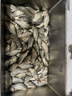 通威魚(yú)飼料大包裝魚(yú)塘養殖鯽魚(yú)羅非魚(yú)草魚(yú)鯉魚(yú)等淡水魚(yú)通用魚(yú)飼料 通威182浮料2-3毫米29蛋白（5.0斤散裝） 曬單實(shí)拍圖