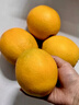 正宗贛南臍橙大果香甜橙子新鮮應季水果產(chǎn)地現摘現發(fā)（順豐包郵） 5斤（凈重4.5斤） 80-85mm（大果  單果200克以上） 曬單實(shí)拍圖