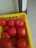 【超市精選】山東沙瓤水果西紅柿新鮮番茄蔬菜減肥單果100g起 西紅柿中大果 2斤 帶箱 曬單實(shí)拍圖
