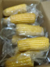 2025年?yáng)|北黃甜糯玉米棒真空包裝低脂黃糯大棒甜東北早餐黏苞米 黃糯玉米10支 150-200克 曬單實(shí)拍圖