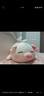 名創(chuàng  )優(yōu)品（MINISO）小豬B-BO翅膀款趴毛絨公仔玩具玩偶抱枕娃娃送女友兒童生日禮物 曬單實(shí)拍圖