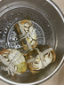 【活蟹】湖中秋色鮮活大閘蟹螃蟹現貨公4.5-4.8母3.5-3.8兩4對去繩足重送禮盒 源頭直發(fā) 曬單實(shí)拍圖