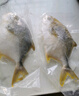 翔泰 海南金鯧魚(yú)凈重900g 2條裝  魚(yú)類(lèi)生鮮 火鍋食材 海鮮水產(chǎn)  曬單實(shí)拍圖