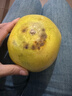 福建平和老樹(shù)紅柚 老少皆宜水果 1.5-2斤 皮薄肉厚多汁 曬單實(shí)拍圖