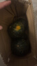 正宗貝貝南瓜老南瓜甜糯貝貝小南瓜寶寶輔食新鮮南瓜蔬菜生鮮 貝貝南瓜小果 2斤 帶箱 曬單實(shí)拍圖