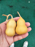 天然葫蘆文玩帶龍頭手捻把玩小精品野生葫蘆迷你家居客廳擺件 2個(gè)精品級【4-6厘米龍頭葫蘆】 曬單實(shí)拍圖