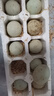 農(nóng)家散養(yǎng)鴨蛋新鮮生鴨蛋土鴨蛋綠殼青皮鴨蛋營養(yǎng)豐富 10枚 50g-60g 曬單實拍圖