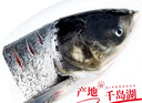 鮮喜愛(ài) 冷凍千島湖有機鰱魚(yú)頭1.5斤 白鰱魚(yú)頭  生鮮魚(yú)類(lèi) 海鮮水產(chǎn) 曬單實(shí)拍圖