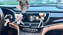 車(chē)載香薰汽車(chē)出風(fēng)口裝飾干花小花束空調口香水永生花干花飾品擺件 可可玫瑰 - 【送夾子+香薰片】 曬單實(shí)拍圖