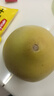 正宗福建平和白心柚子新鮮水果當季孕婦琯溪白肉蜜柚薄皮整箱批發(fā) 1粒裝-嘗新（1-1.5斤） 曬單實(shí)拍圖