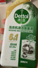 滴露（Dettol）洗衣機清洗劑250ml金裝版松木滾筒波輪洗衣機清潔劑強力除垢殺菌 曬單實(shí)拍圖