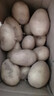 新鮮土豆現挖現發(fā)山東正宗黃心黃肉當季蔬菜馬鈴薯洋芋薯條3兩起 山東土豆帶箱4斤 中大果 曬單實(shí)拍圖