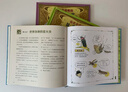 【精裝贈便簽本】法布爾老師的昆蟲(chóng)教室 全3冊 漫畫(huà)圖解法布爾昆蟲(chóng)記 9-12歲兒童生物科普  昆蟲(chóng)學(xué)生物圖書(shū) 浪花朵朵童書(shū) 法布爾老師的昆蟲(chóng)教室（平裝版） 曬單實(shí)拍圖