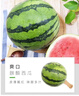 【產(chǎn)地直采】麒麟奶油西瓜 約4.5kg 曬單實(shí)拍圖