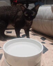 JCZS【德國品牌】寵物恒溫水碗貓咪加熱飲水器貓飲水機酸奶機保溫小貓 【四檔恒溫 定時(shí)防干燒】700ml白色碗墊組合 曬單實(shí)拍圖