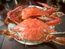 丹東大飛蟹東溝野生大公蟹梭子蟹白蟹鮮活海蟹大螃蟹青蟹 5兩 大號【1斤2只裝】 曬單實(shí)拍圖