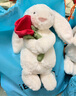 Jellycat【全球首發(fā)】乳白色懷抱玫瑰邦尼兔毛絨禮物玩偶公仔情人節新品 乳白色 Medium 曬單實(shí)拍圖