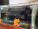 呆寵兒魚(yú)缸 魚(yú)缸自循環(huán)免換水生態(tài)魚(yú)缸魚(yú)缸家用小型魚(yú)缸造景送貨上門(mén) 背濾60*40*40加厚8mm 基礎款 曬單實(shí)拍圖