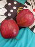 秦悅仙果鮮花牛蘋(píng)果甘肅天水粉面蘋(píng)果水果禮盒次日達+美國蛇果孕婦寶寶輔食 精品果王5斤丨單果85mm+順豐速發(fā) 曬單實(shí)拍圖
