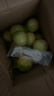 星派果（XINGPAIGUO）廣西黃金百香果欽蜜9號新鮮水果當季水果現摘整箱水果 2斤帶箱凈重1.5-1.8斤 單果30-45g 曬單實(shí)拍圖