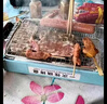 綠野客戶(hù)外一次性燒烤爐 家用便攜式果木無(wú)煙碳烤爐肉架 曬單實(shí)拍圖